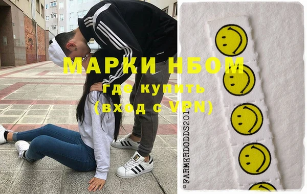 стаф Зерноград