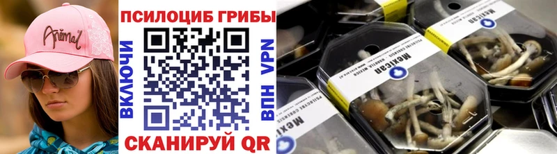 это официальный сайт  Кашин  Псилоцибиновые грибы Magic Shrooms 